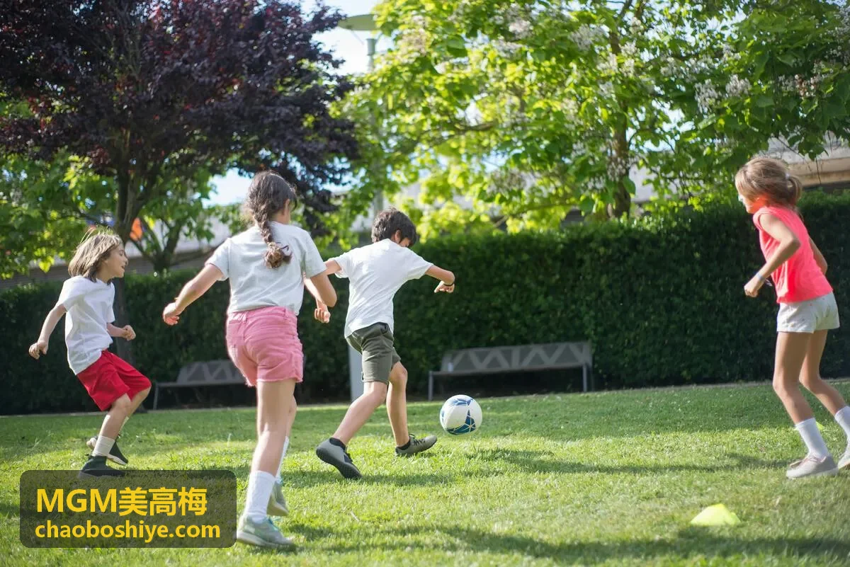 MGM美高梅城市综合体案例