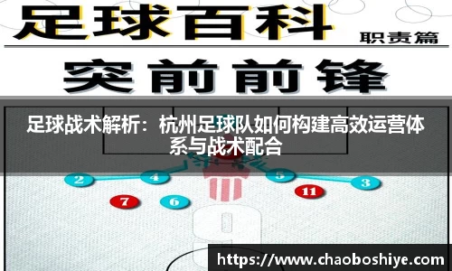 完美体育