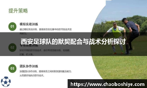 完美体育在线入口官网