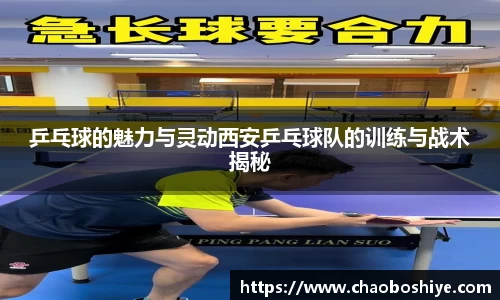 完美体育在线入口官网