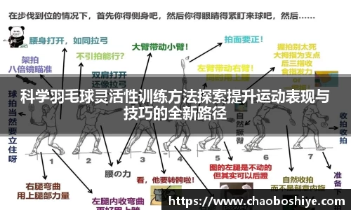 完美体育在线入口官网