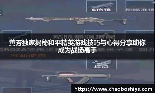 完美体育官网