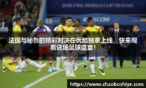 完美体育在线入口官网