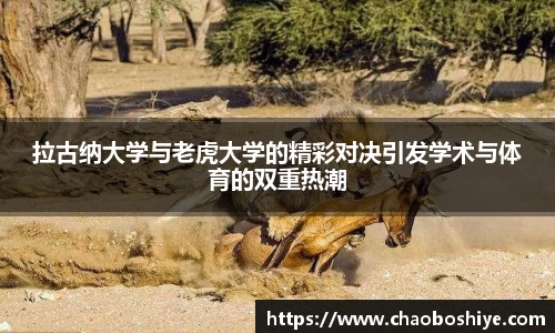 完美体育app下载安装