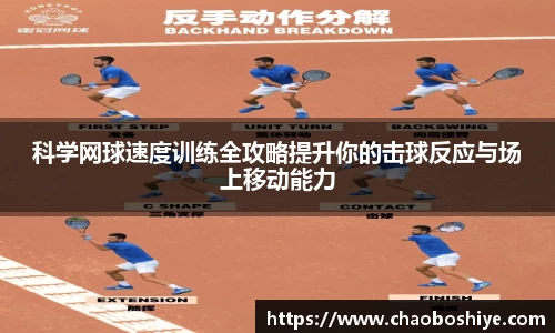 完美体育